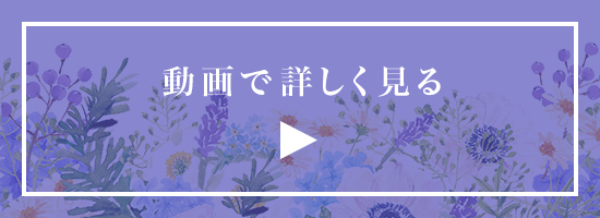 動画で詳しく見る